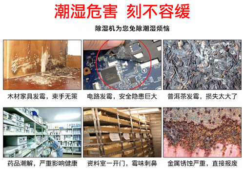 防潮除濕機(jī)
