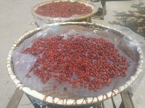 烘干用除濕機