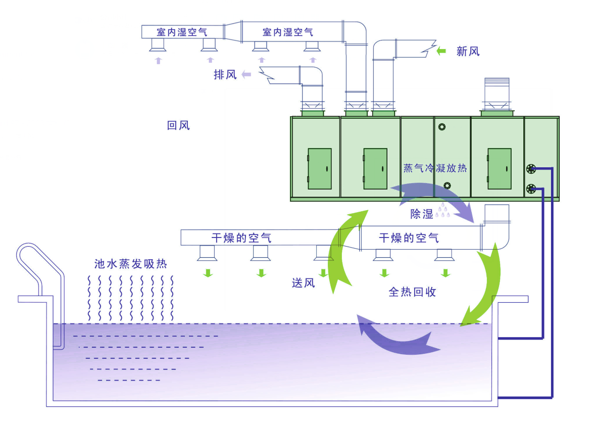 泳池專用熱泵除濕機 泳池專用熱泵除濕機