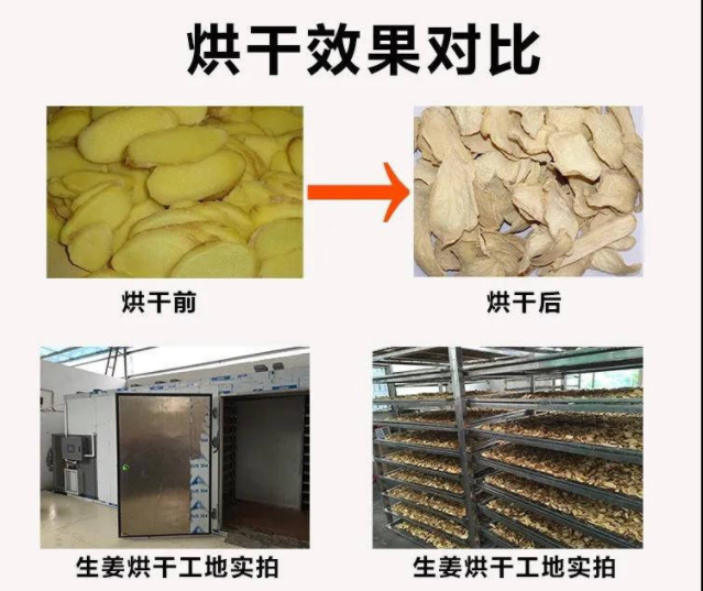 干姜片烘干除濕機.png