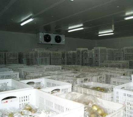 獼猴桃氣調(diào)庫加濕器.jpg
