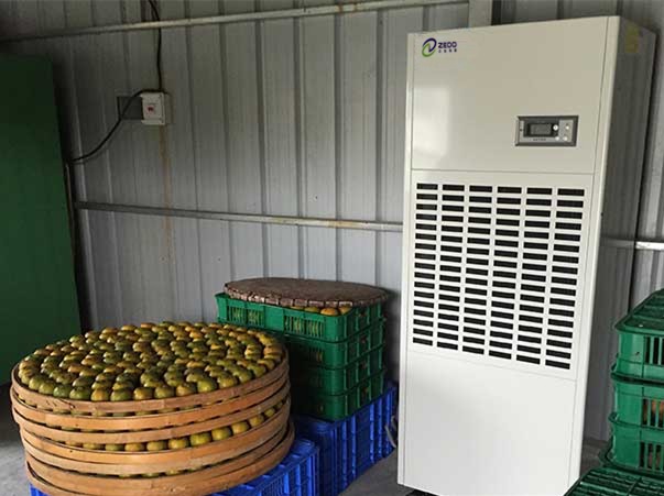 空氣能柿餅烘干機