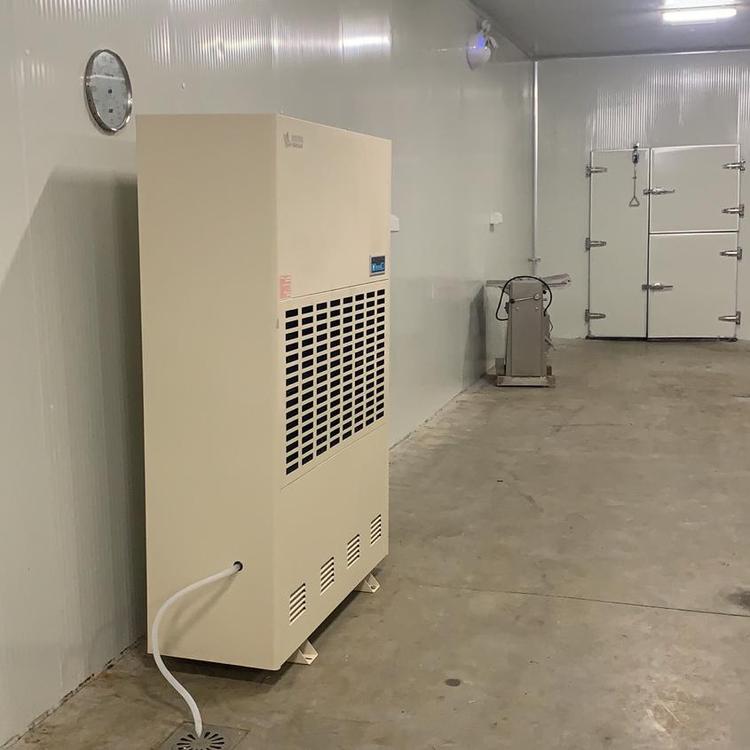 低溫工業除濕機
