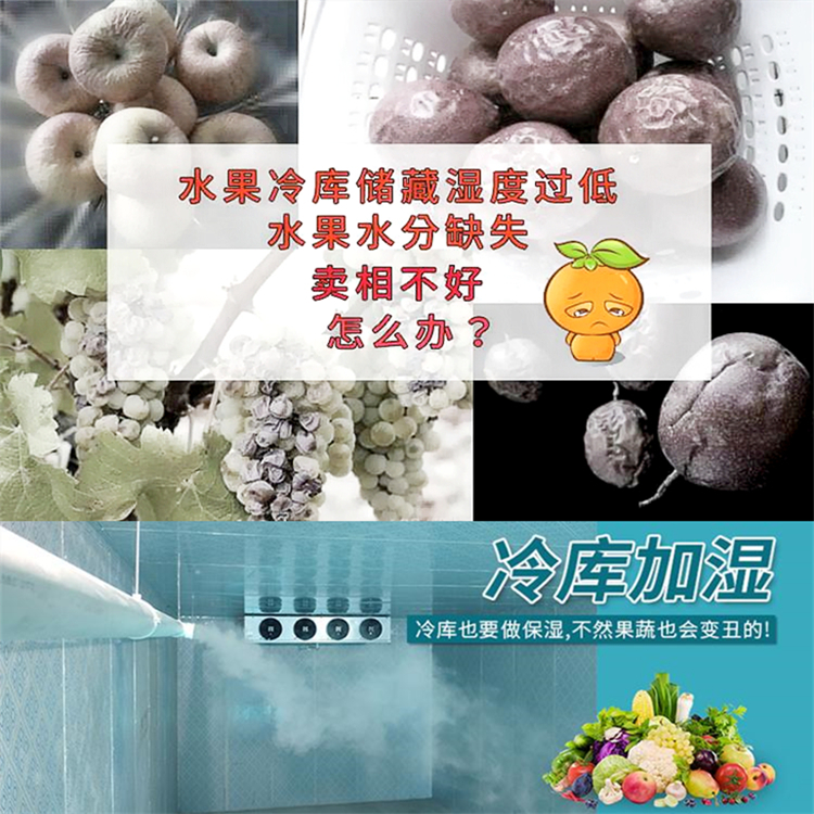 氣調保鮮庫如何加濕？